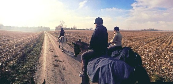 Promenade à cheval