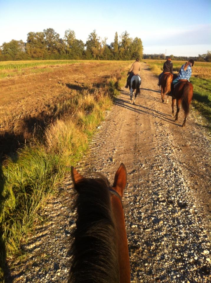 Promenade à cheval