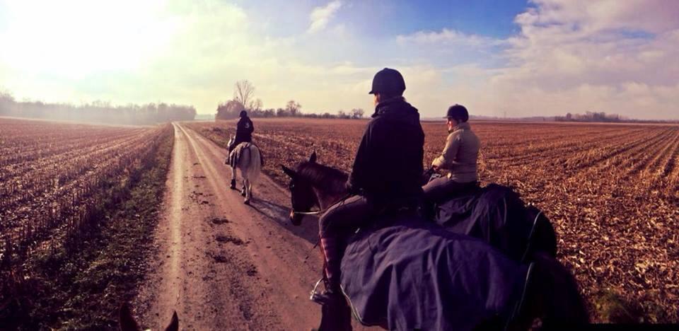 Promenade à cheval